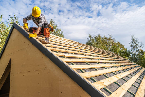 Best Flat Roof Repair Services  in Genoa City, WI