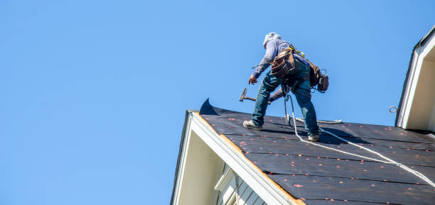 Best Residential Roof Replacement  in Genoa City, WI